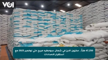 47,250 طناً.. مخزون الأرز في شمال سومطرة مريح حتى نوفمبر 2025 مع استقرار الإمدادات